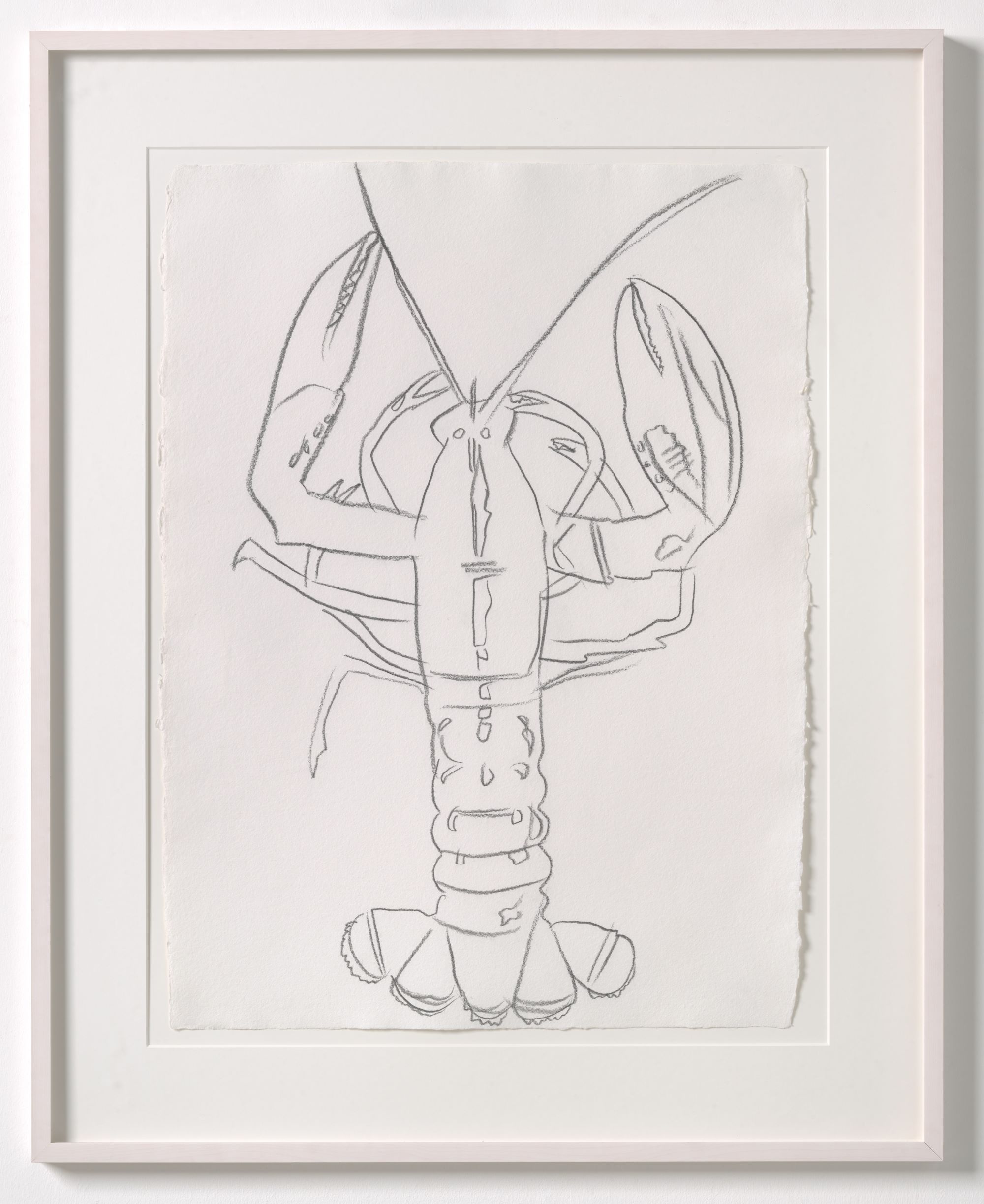 Lobster warhol kl